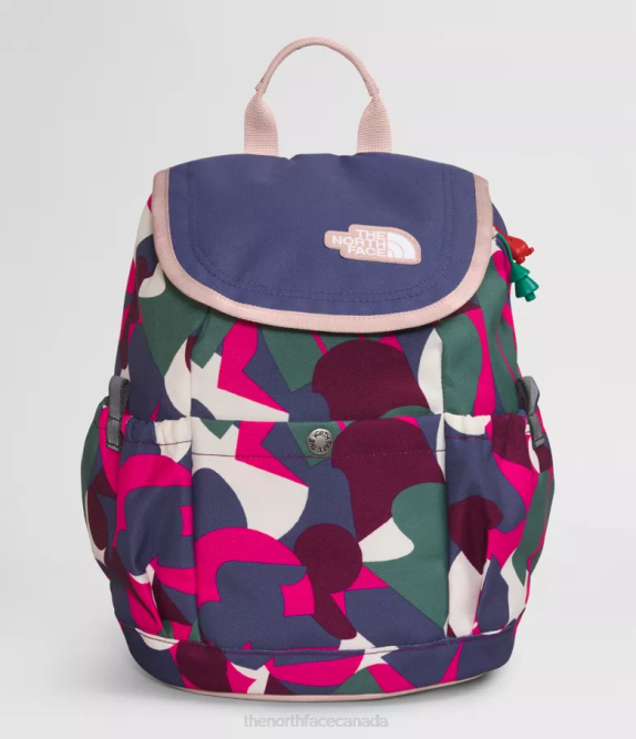 Mr. Pink Big Abstract Print/Cave Blue Kids The North Face Youth Mini Explorer Backpack 42D0397