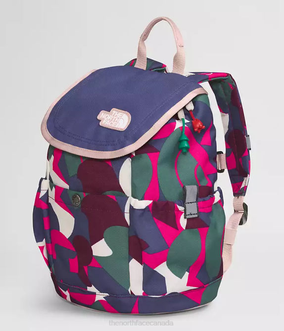 Mr. Pink Big Abstract Print/Cave Blue Kids The North Face Youth Mini Explorer Backpack 42D0397