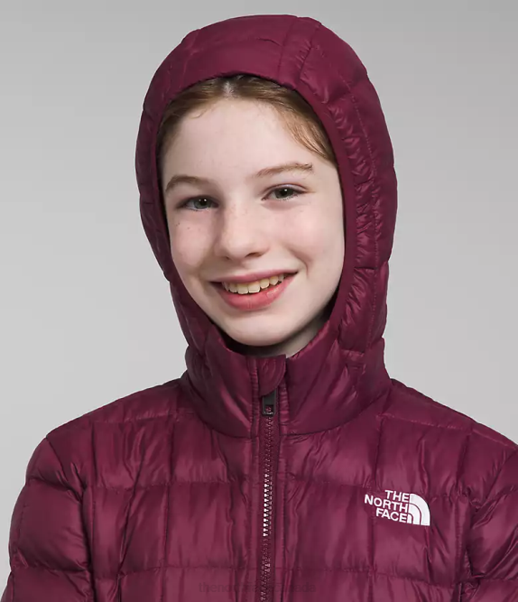 Boysenberry Kids The North Face ThermoBall Parka 42D0459