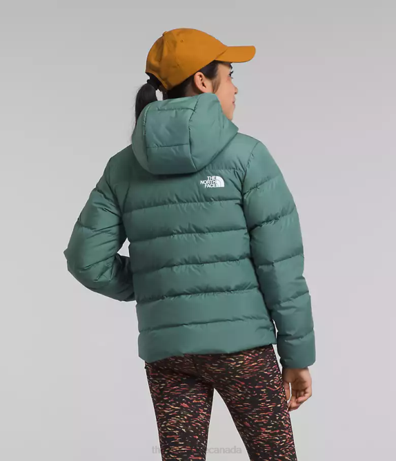 Dark Sage Kids The North Face Reversible North Down Hooded Jacket 42D0628