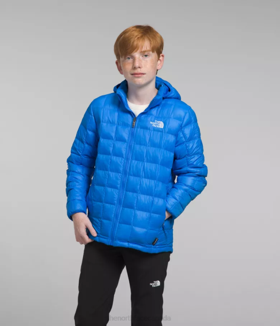 Optic Blue Kids The North Face ThermoBall Hooded Jacket 42D0632