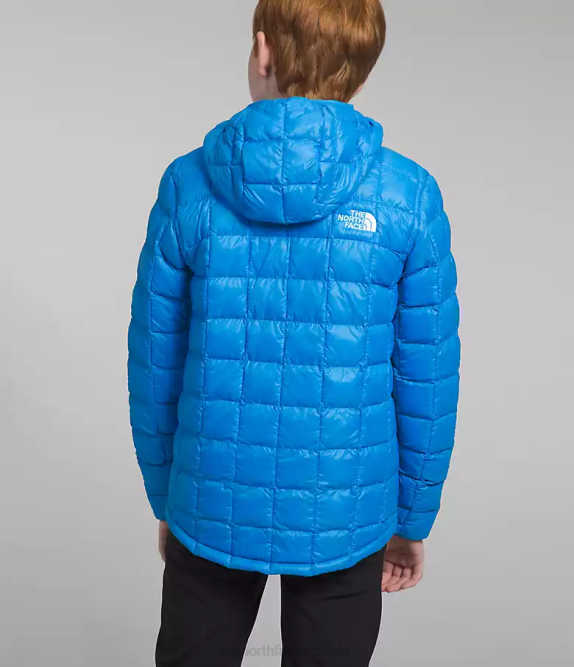 Optic Blue Kids The North Face ThermoBall Hooded Jacket 42D0632