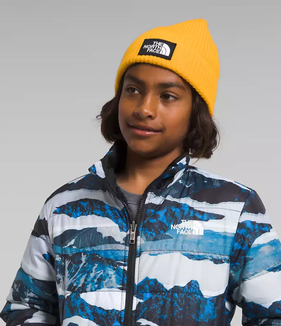 Optic Blue Mountain Traverse Print Kids The North Face Reversible Mt Chimbo Full-Zip Hooded Jacket 42D080