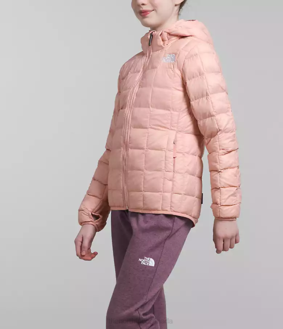 Pink Moss Kids The North Face ThermoBall Hooded Jacket 42D0180