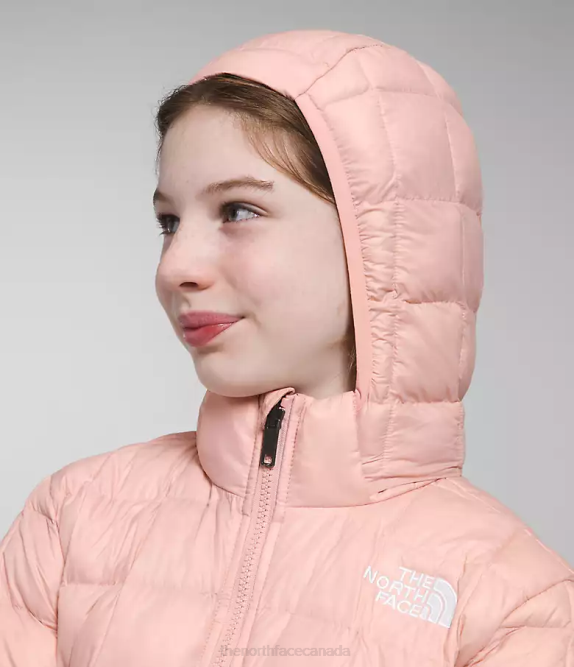Pink Moss Kids The North Face ThermoBall Hooded Jacket 42D0180