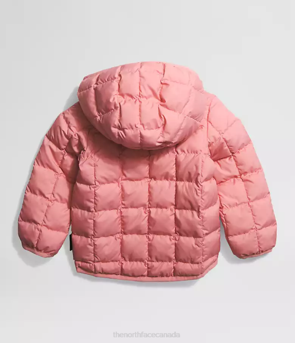 Shady Rose Baby The North Face Reversible ThermoBall Hooded Jacket 42D0637