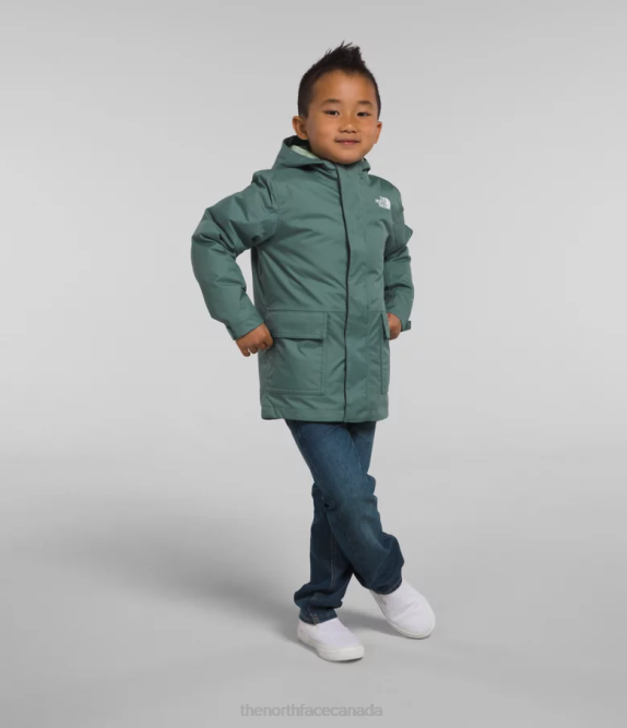 Dark Sage Kids The North Face North Down Triclimate 42D0584