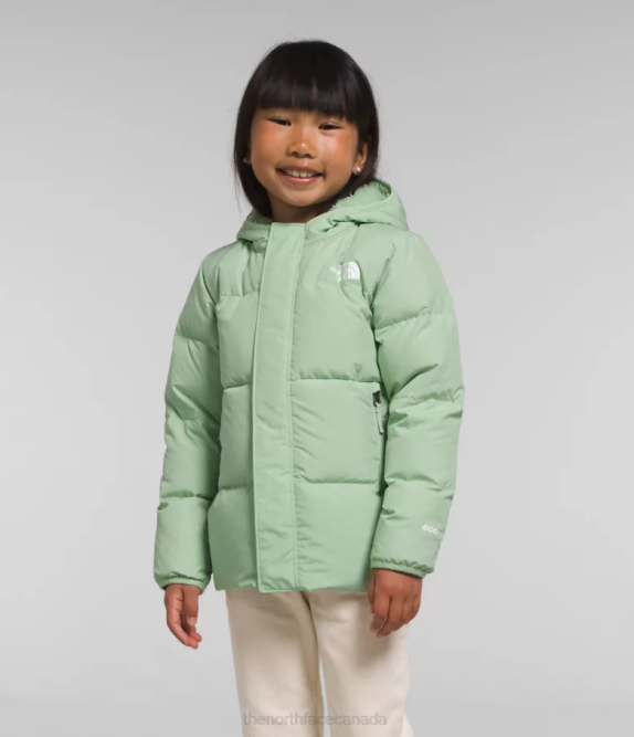 Misty Sage Kids The North Face North Down Hooded Jacket 42D0864