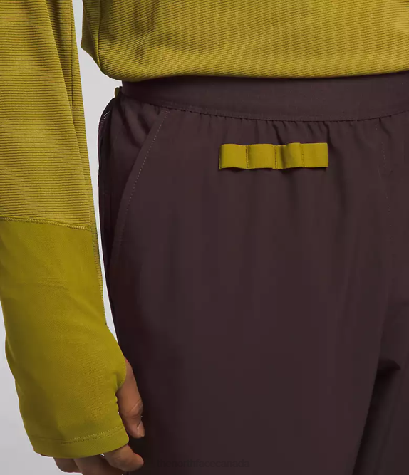 Coal Brown Men The North Face Trailwear OKT Joggers 42D0216