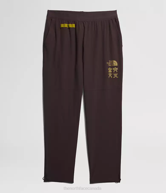 Coal Brown Men The North Face Trailwear OKT Joggers 42D0216