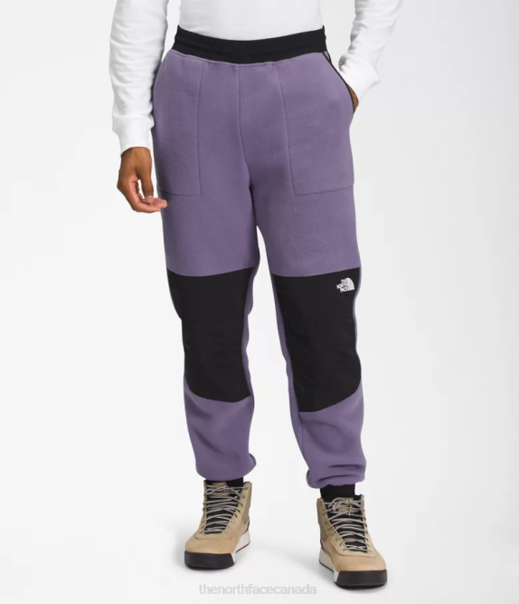 Lunar Slate/TNF Black Men The North Face Denali Pants 42D0880