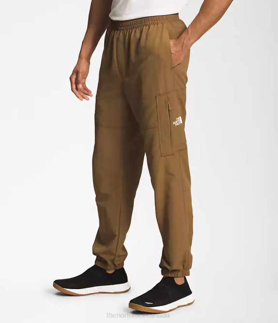 Utility Brown Men The North Face TNF Nylon Easy Pants 42D0493