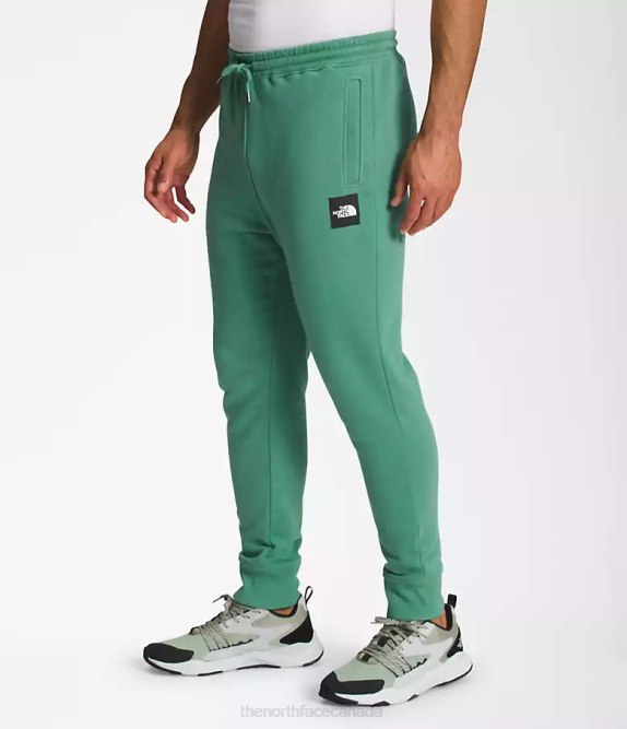 Deep Grass Green/TNF Black Men The North Face Box NSE Joggers 42D01041