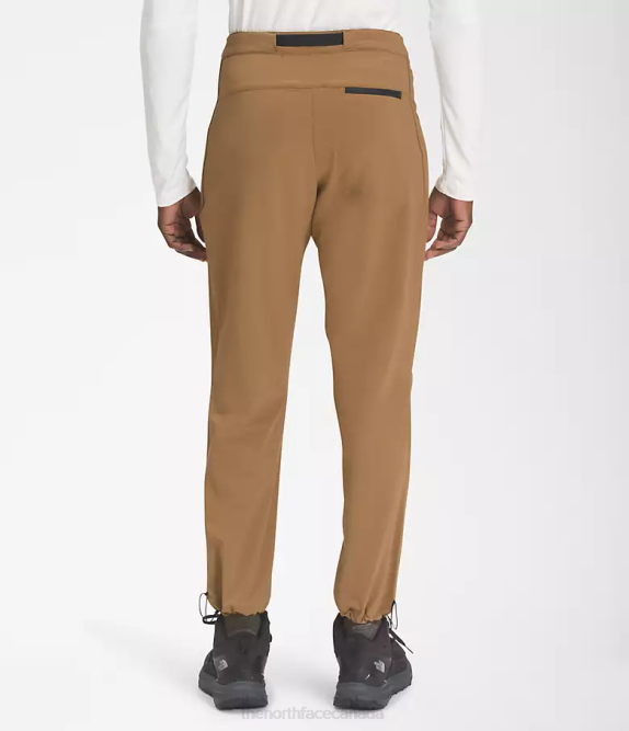 Utility Brown Men The North Face Paramount Pro Pants 42D029