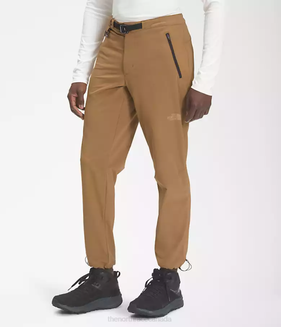Utility Brown Men The North Face Paramount Pro Pants 42D029
