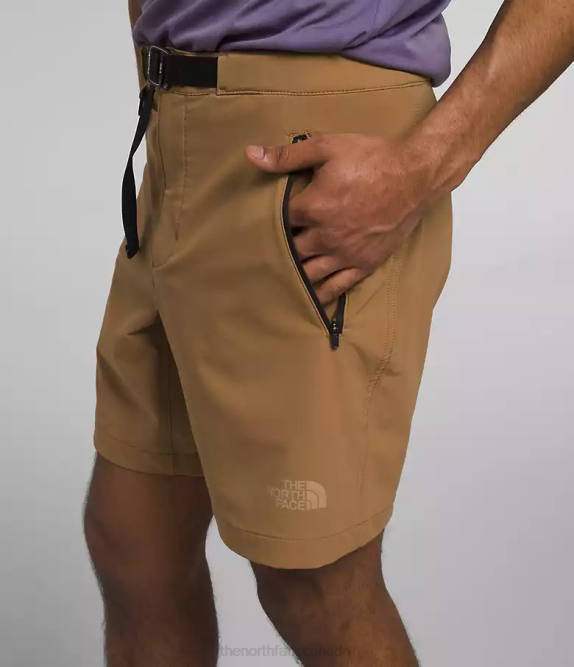 Utility Brown Men The North Face Paramount Pro Shorts 42D0927