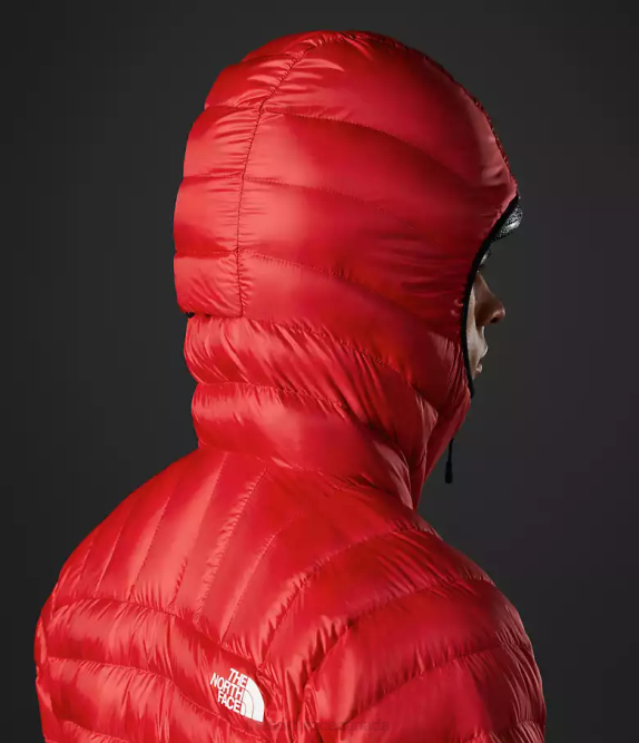 TNF Red Men The North Face Summit Series Breithorn Hoodie 42D0915