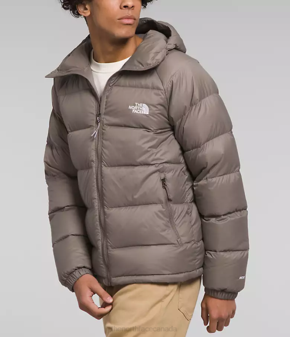 Falcon Brown Men The North Face Hydrenalite Down Hoodie 42D0642