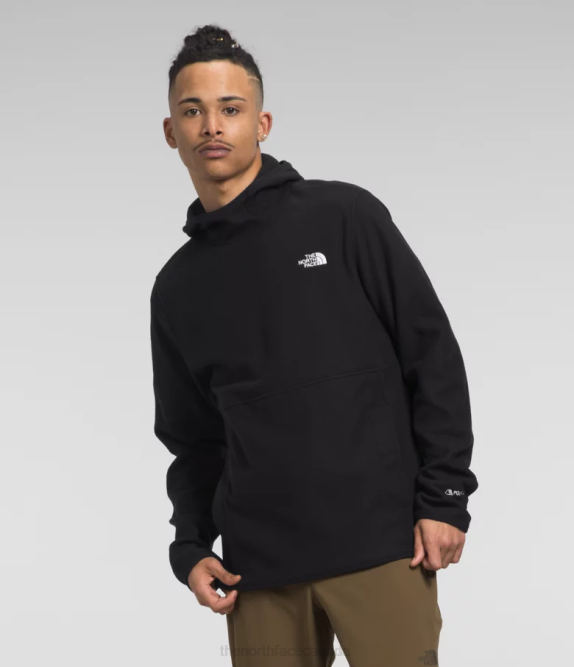 TNF Black Men The North Face Alpine Polartec 100 Pullover 42D0118