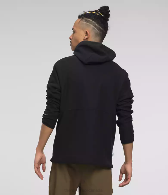 TNF Black Men The North Face Alpine Polartec 100 Pullover 42D0118