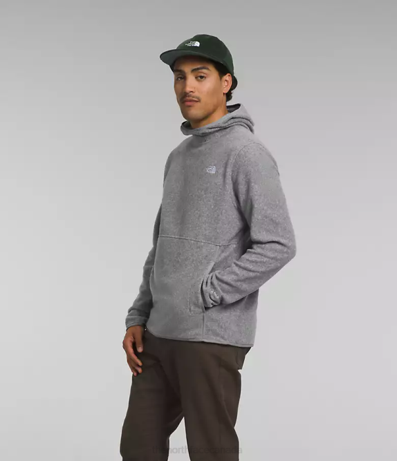 TNF Medium Grey Heather Men The North Face Alpine Polartec 100 Pullover 42D0117