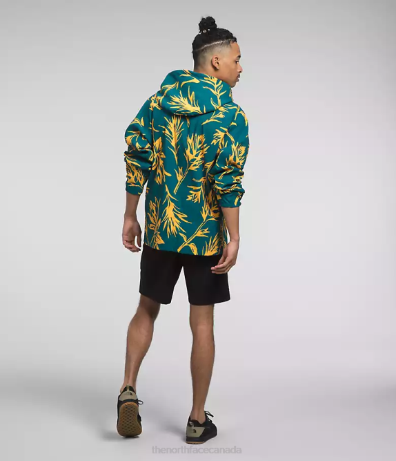 Blue Coral Tropical Paint Brush Print Men The North Face Class V Pullover 42D0593