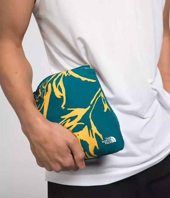 Blue Coral Tropical Paint Brush Print Men The North Face Class V Pullover 42D0593