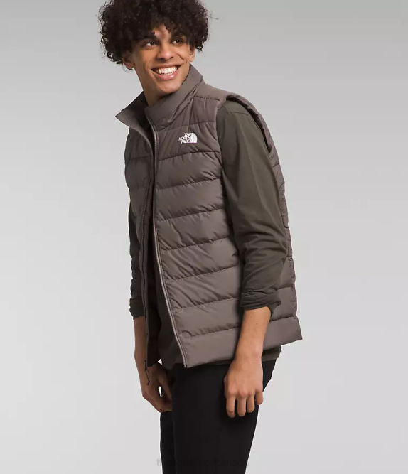 Falcon Brown Men The North Face Aconcagua 3 Vest 42D0992