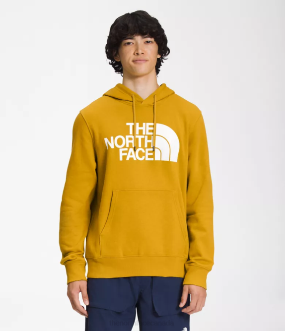 Arrowwood Yellow Men The North Face Half Dome Pullover Hoodie 42D0114