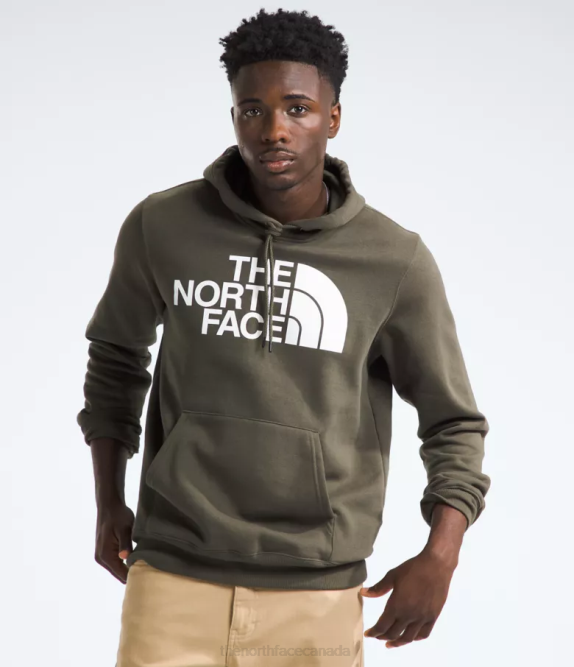 New Taupe Green Men The North Face Half Dome Pullover Hoodie 42D0113