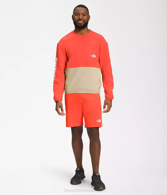 Gravel/Retro Orange Men The North Face TNF Tech Crew 42D0603