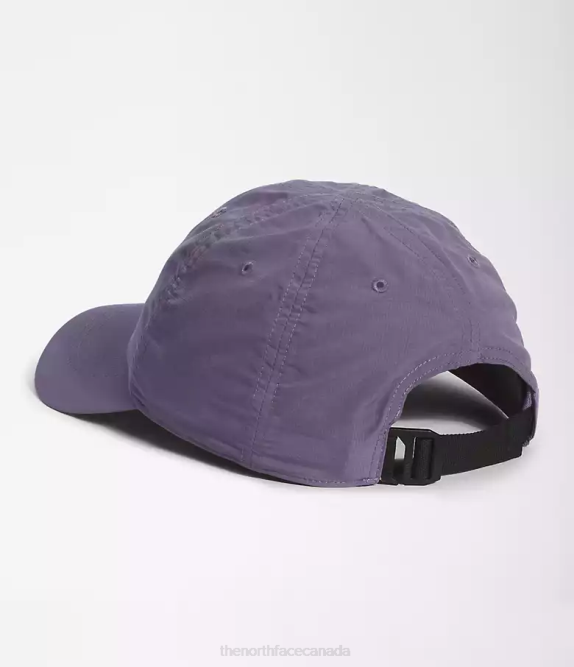 Lunar Slate Unisex The North Face Horizon Hat 42D0142