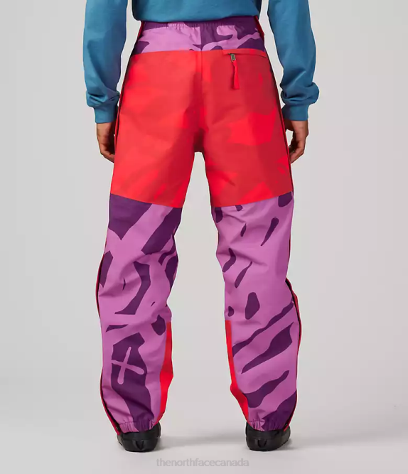 Kw Pamplona Purple Mtn Light Print Unisex The North Face TNF X KAWS Mountain Light Pant 42D0607