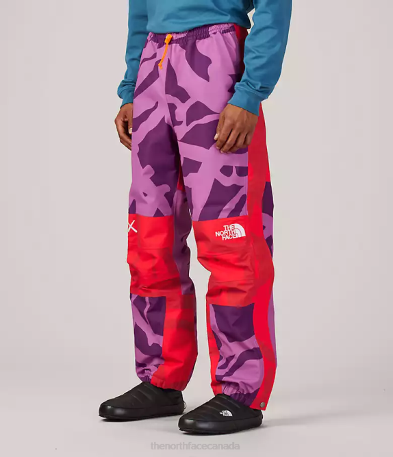 Kw Pamplona Purple Mtn Light Print Unisex The North Face TNF X KAWS Mountain Light Pant 42D0607