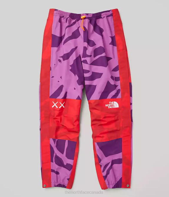 Kw Pamplona Purple Mtn Light Print Unisex The North Face TNF X KAWS Mountain Light Pant 42D0607