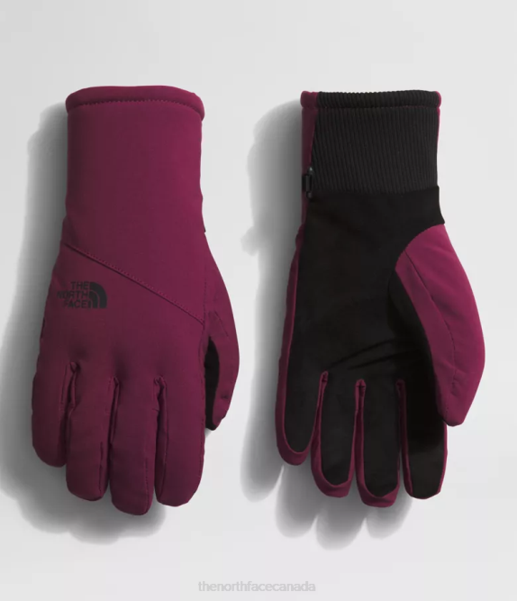 Boysenberry Women The North Face Shelbe Raschel Etip Gloves 42D0860