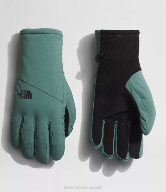 Dark Sage Women The North Face Shelbe Raschel Etip Gloves 42D0861