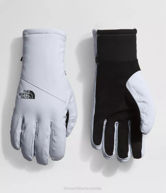 Dusty Periwinkle Women The North Face Shelbe Raschel Etip Gloves 42D0859