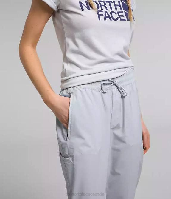 Dusty Periwinkle Women The North Face Never Stop Wearing Pants 42D0983