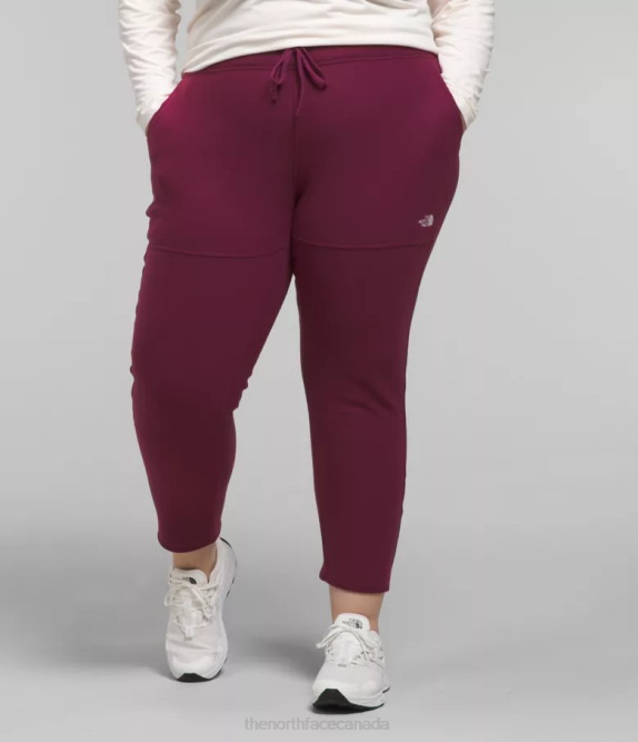Boysenberry Women The North Face Plus Alpine Polartec 100 Pants 42D0251