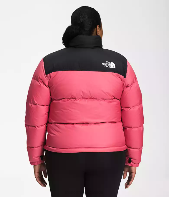 Cosmo Pink Women The North Face Plus 1996 Retro Nuptse Jacket 42D0799