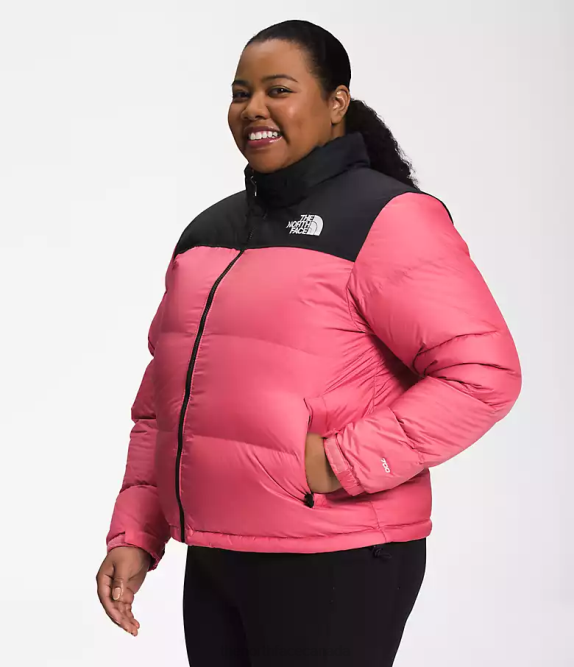 Cosmo Pink Women The North Face Plus 1996 Retro Nuptse Jacket 42D0799