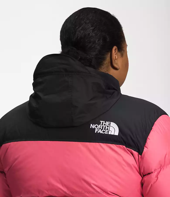 Cosmo Pink Women The North Face Plus 1996 Retro Nuptse Jacket 42D0799