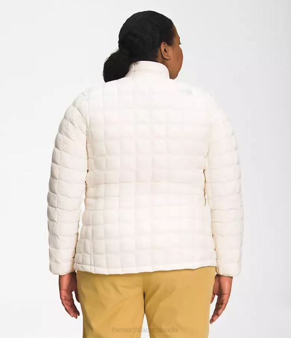 Gardenia White Women The North Face Plus ThermoBall Eco Jacket 2.0 42D053
