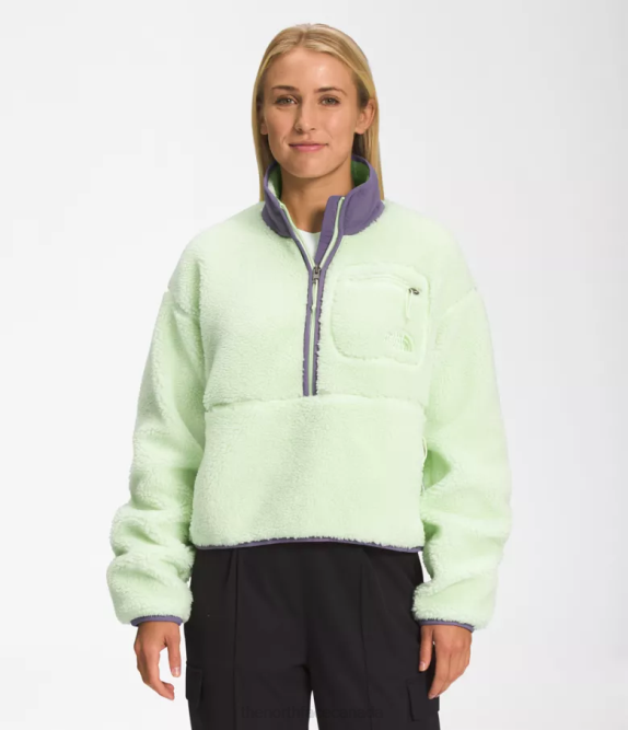 Lime Cream/Lunar Slate Women The North Face Extreme Pile Pullover 42D0805