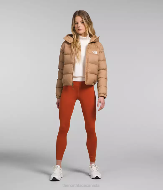 Almond Butter Women The North Face Hydrenalite Down Hoodie 42D0892