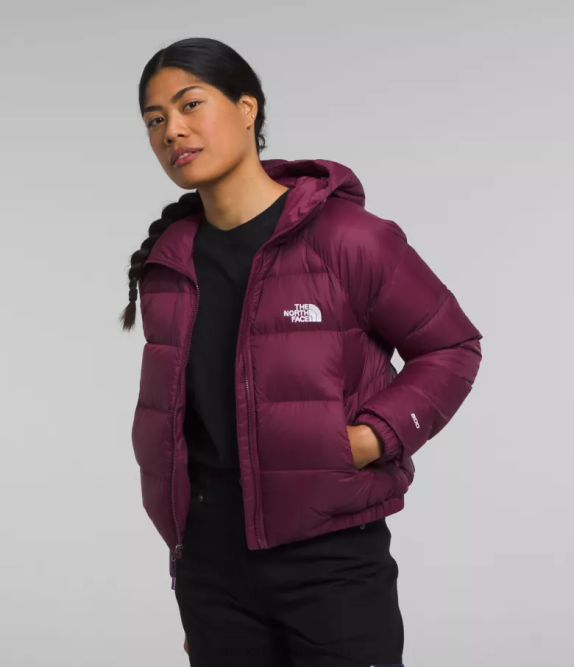 Boysenberry Women The North Face Hydrenalite Down Hoodie 42D0893