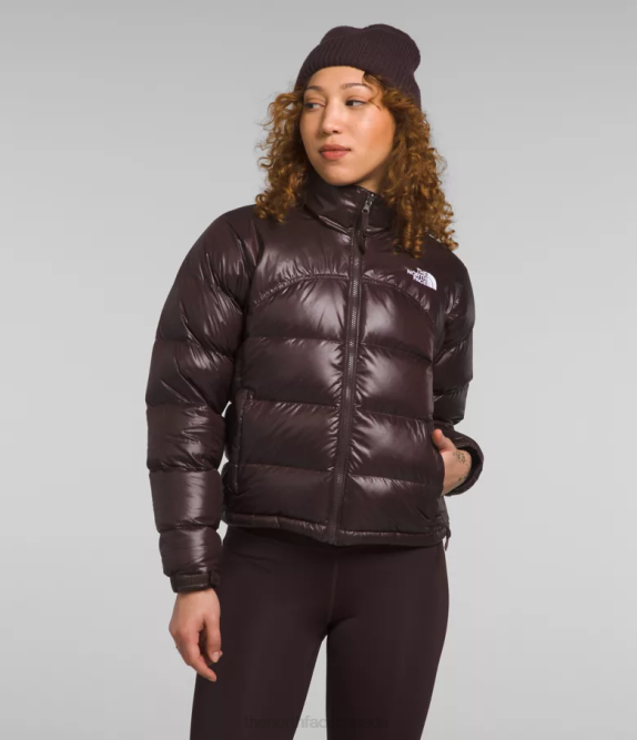 Coal Brown Women The North Face 2000 Retro Nuptse Jacket 42D0804