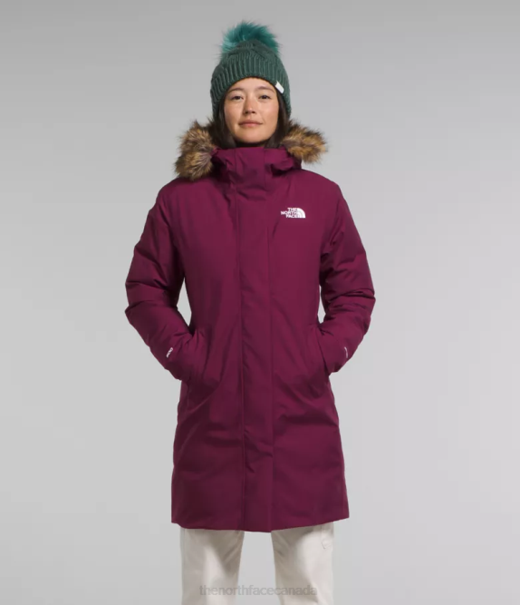 Boysenberry Women The North Face Arctic Parka 42D0509