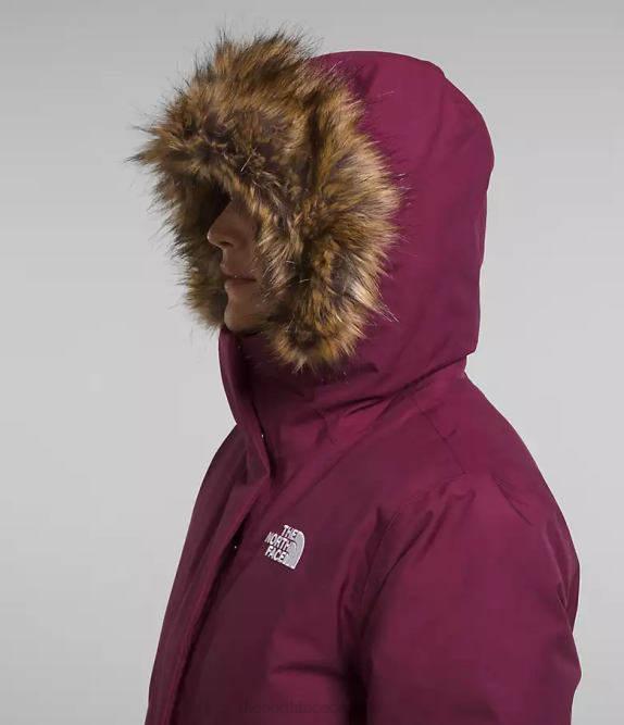 Boysenberry Women The North Face Arctic Parka 42D0509